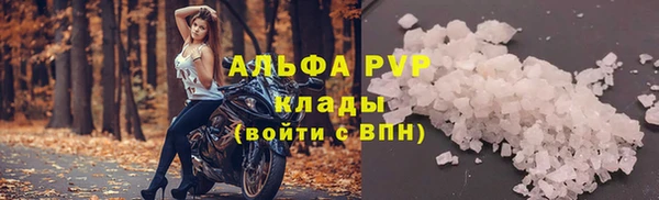ешки Корсаков
