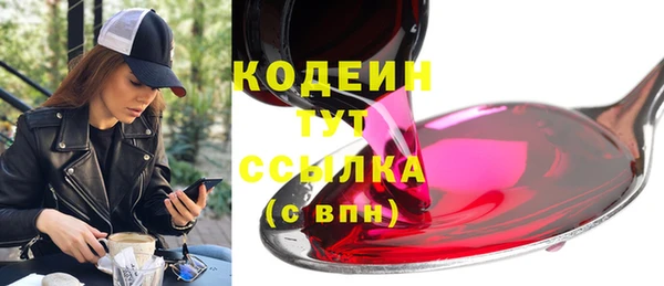 ешки Корсаков