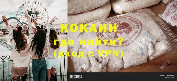 ешки Корсаков