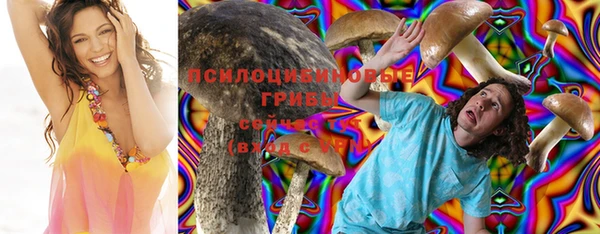 ешки Корсаков