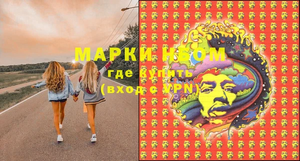 ешки Корсаков