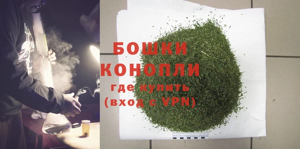 ешки Корсаков
