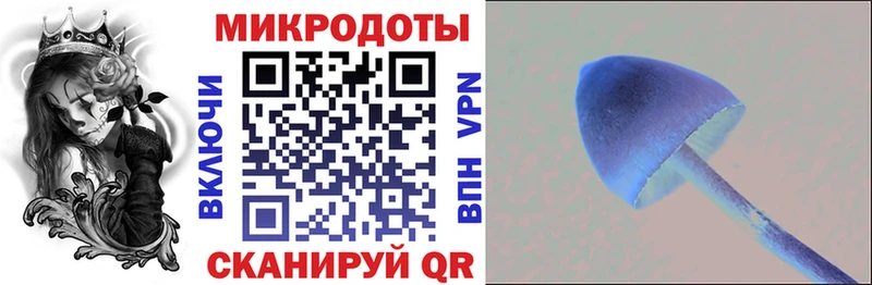 Псилоцибиновые грибы Cubensis  mega как войти  Старая Купавна 