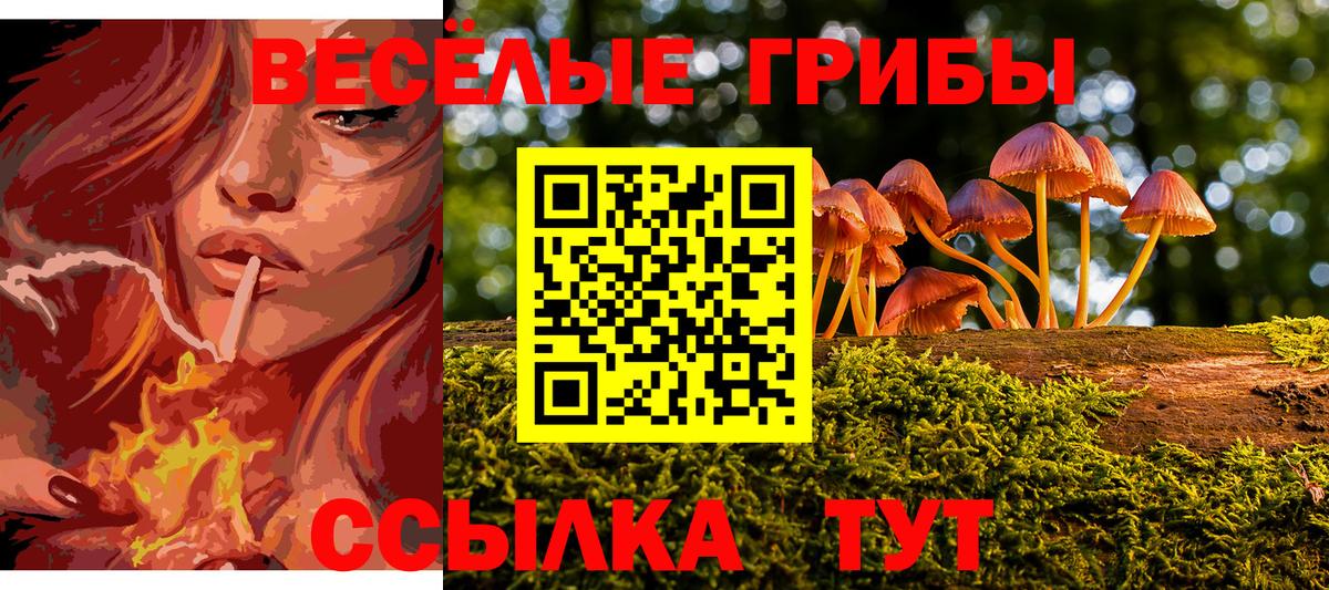 Галлюциногенные грибы ЛСД Старая Купавна
