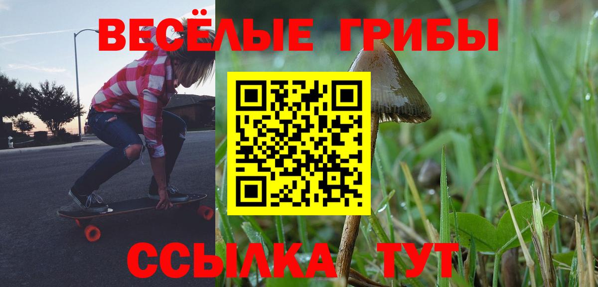 Галлюциногенные грибы мухоморы  Вход с VPN  Старая Купавна 